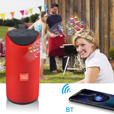 TG 113 Splash Proof Wireless Bluetooth Portable Stereo Sound Super Bass Speaker with FM Radio, Aux, Micro SD & USB Flash Support